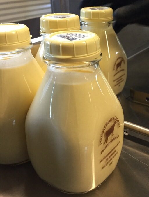 Glass bottles of fresh milk with yellow caps, placed on a stainless steel surface.
